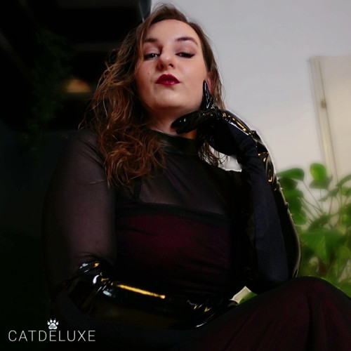 Miss Catdeluxe Profile picture