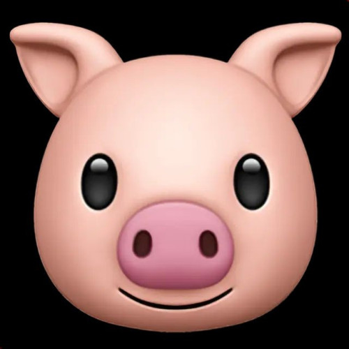 junges-schwein Profilbild