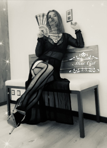 MissCat Profile picture