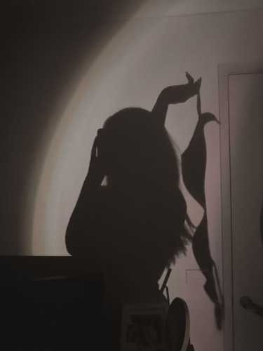 MissDomina Profile picture