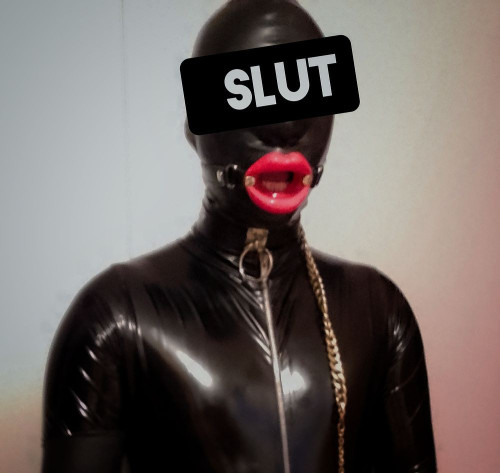 sklave_gimp Profilbild