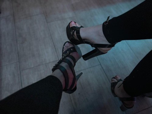 Ladyanabella Profile picture